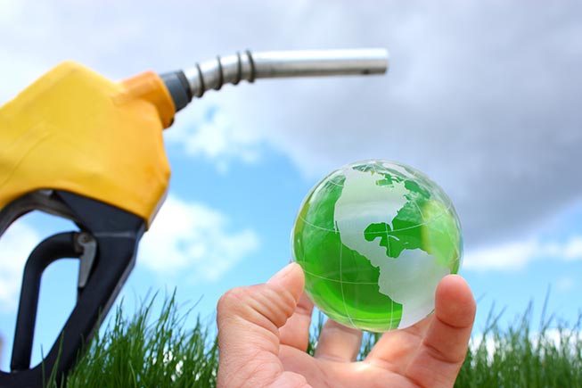 Food inflation and firm edible oil market drives Biodiesel market sentiments